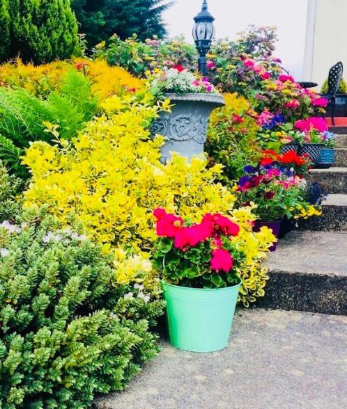 Hillcrest Farmhouse Bed & Breakfast Boyhollagh Ngoại thất bức ảnh